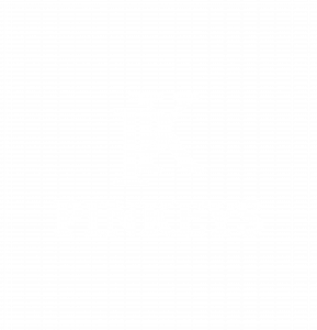 Logo Pinkeys Conciergerie